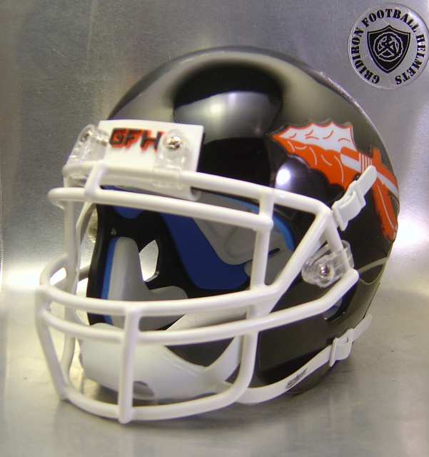 Ogallala Indians HS 2016 (NE)